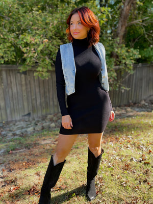 Raleigh Ribbed & Knitted Turtleneck Dress