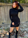 Raleigh Ribbed & Knitted Turtleneck Dress