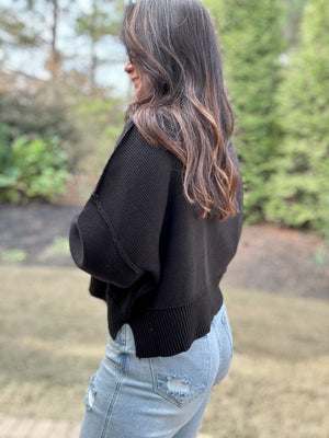 *DOORBUSTER* / Andie Long Crop Sweater