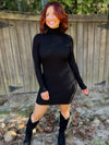 Raleigh Ribbed & Knitted Turtleneck Dress