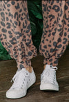 Brushed Hacci Leopard Joggers