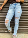 Bobby Skinny Distressed Jeans